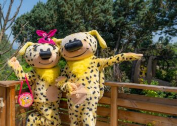 Le Parc Spirou veut raviver l’intérêt des enfants pour la lecture