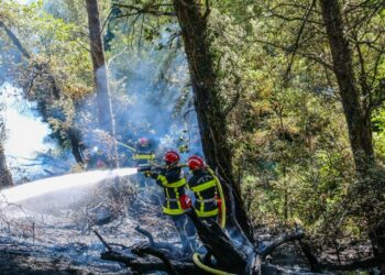 Risque incendie et canicule : appel à la plus grande vigilance