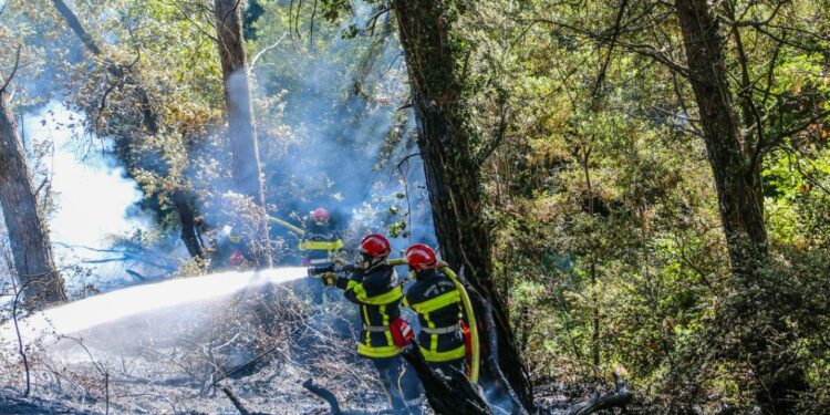 Risque incendie et canicule : appel à la plus grande vigilance