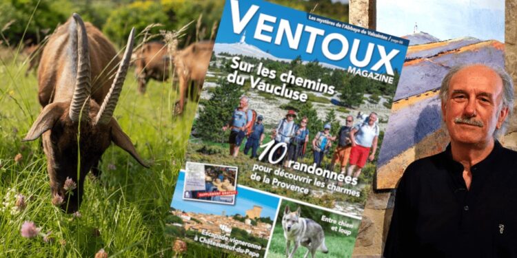 Le nouveau numéro estival de Ventoux Magazine vient de paraître