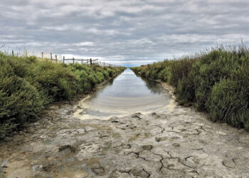 Baux-de-Provence : Pascal Servera expose à la Galerie La Cure