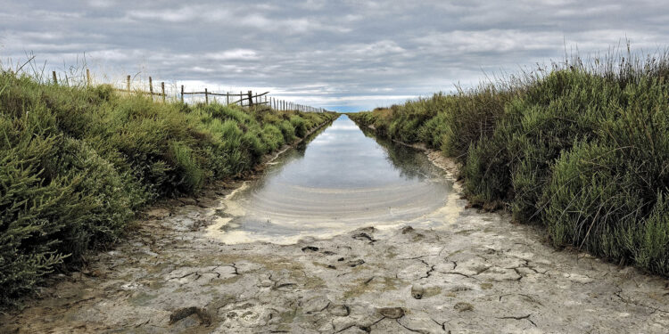 Baux-de-Provence : Pascal Servera expose à la Galerie La Cure