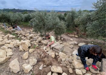 Des chantiers de bénévoles en Provence tout l’été (et plus)