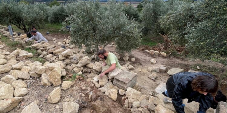 Des chantiers de bénévoles en Provence tout l’été (et plus)