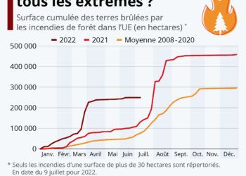 Feux de forêt : 2022, l’été de tous les extrêmes ?