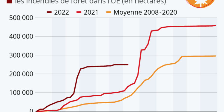Feux de forêt : 2022, l’été de tous les extrêmes ?