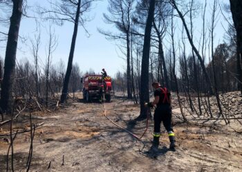 Lutte contre les incendies : le sénateur Blanc veut jouer collectif avec les maires de Vaucluse