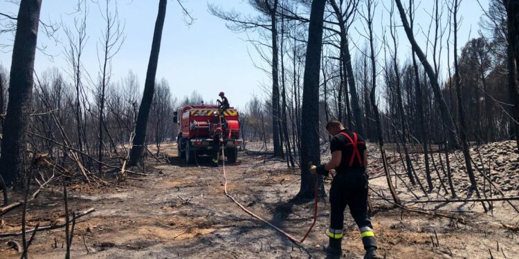 Lutte contre les incendies : le sénateur Blanc veut jouer collectif avec les maires de Vaucluse