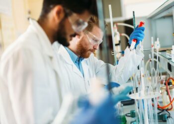 Dépôt de brevet : l’Université d’Avignon dans le top 15 régional