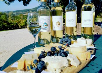 Des soirées aux saveurs provençales au Château Saint Pons