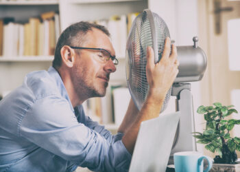Canicule : télétravail ou pas ?