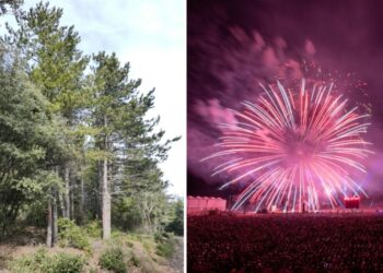 Feux de forêt : accès aux massifs forestiers et feux d’artifice interdits jusqu’au dimanche 17 juillet en Vaucluse