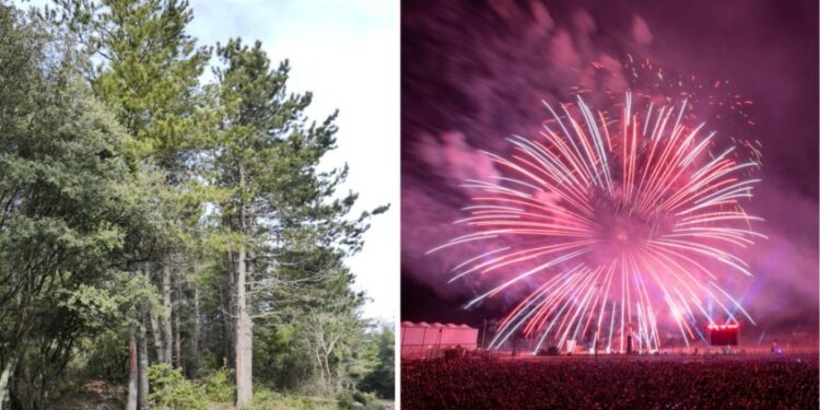 Feux de forêt : accès aux massifs forestiers et feux d’artifice interdits jusqu’au dimanche 17 juillet en Vaucluse