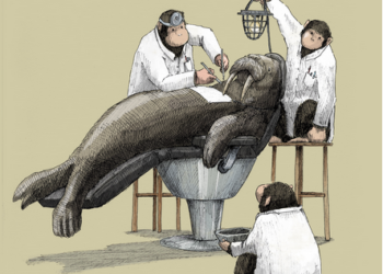 Monteux, Exposition de Guillaume Piot, un bestiaire d’aujourd’hui