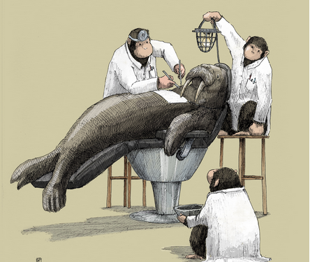 Monteux, Exposition de Guillaume Piot, un bestiaire d’aujourd’hui