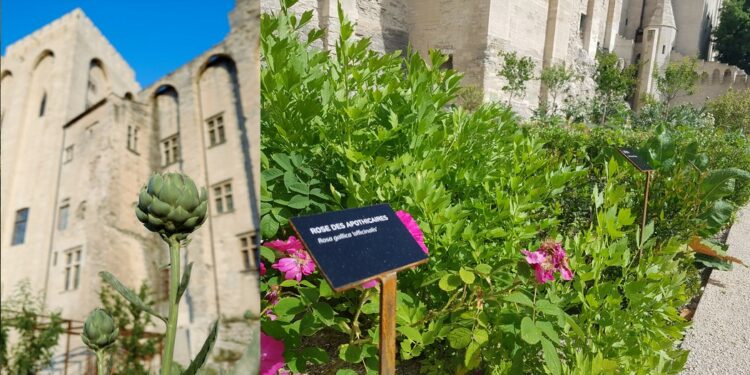 Avignon concoure en finaliste des Victoires du paysage 2022