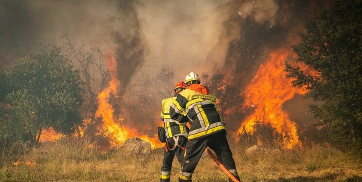 Incendie de la Montagnette, ce que Barbentane a vécu les 14 et 18 juillet 2022