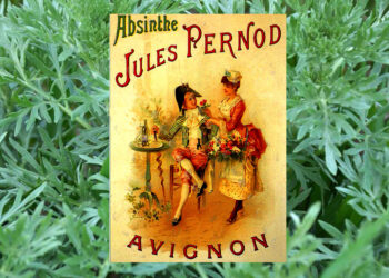 Vérités sur l’histoire du pastis