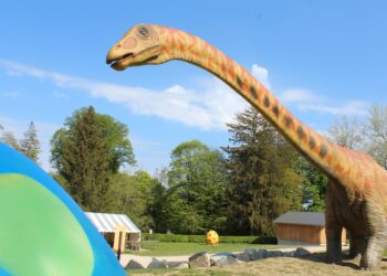 Au Dino-zoo, les nouveautés ne craignent pas l’extinction