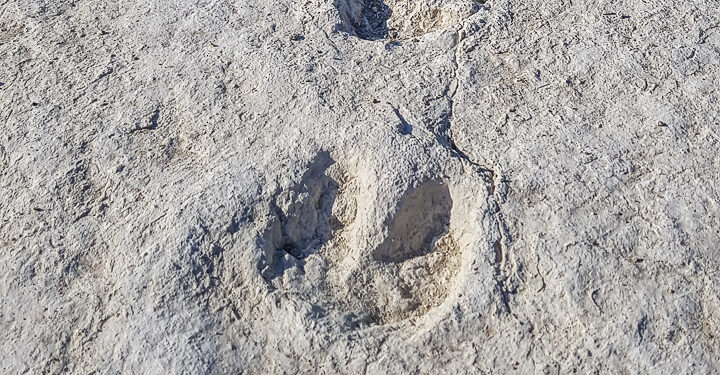 Découvrez le passé géologique du Pays d’Apt tous les jeudis de l’été