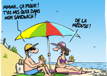 La pénurie de moutarde vu par Wingz pour l’Echo du Mardi