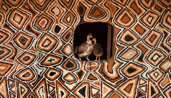 Hans silvester expose sa passion pour les poules au Phébus à Joucas