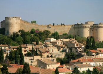 Office de Tourisme : des animations et visites organisées tout l’été