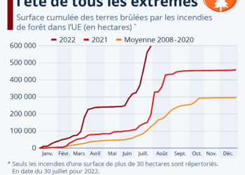 La forêt européenne brûle
