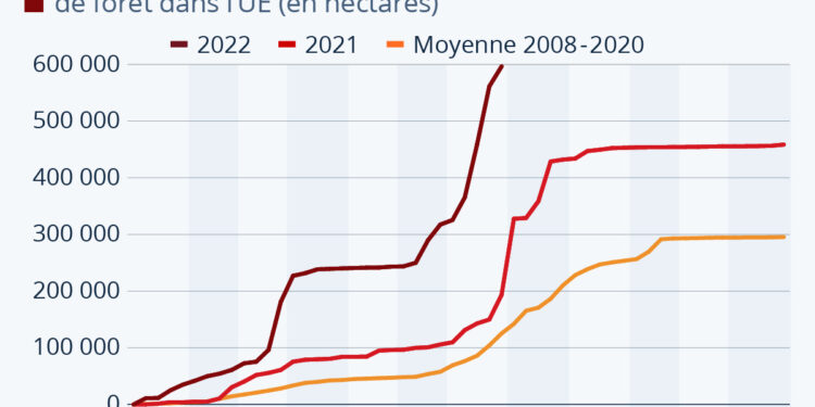 La forêt européenne brûle