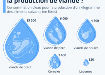 Combien d’eau consomme la production de viande ?