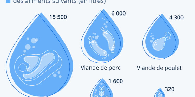 Combien d’eau consomme la production de viande ?