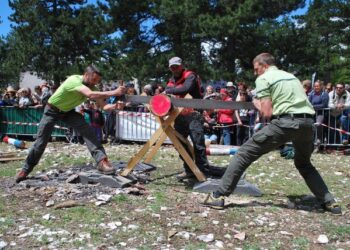 Bédoin : le Mont Ventoux fête sa forêt