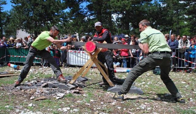Bédoin : le Mont Ventoux fête sa forêt