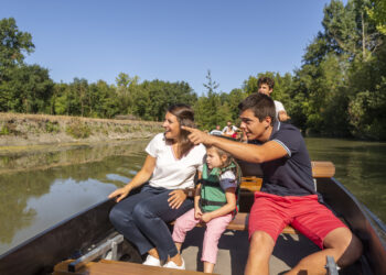 Marais poitevin : un univers végétal et aquatique précieux