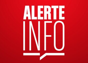 Vaucluse : la consommation des silures péchés dans le Rhône est déconseillée