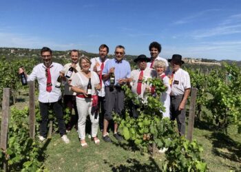 Côtes du Rhône : cette année, le ban des vendanges mêlera tradition et nouveauté