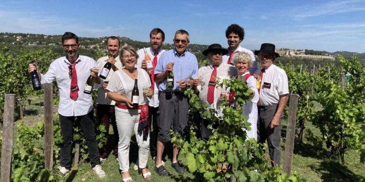 Côtes du Rhône : cette année, le ban des vendanges mêlera tradition et nouveauté