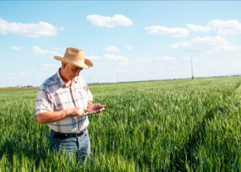 Pouvoir d’achat : revalorisation des prestations sociales