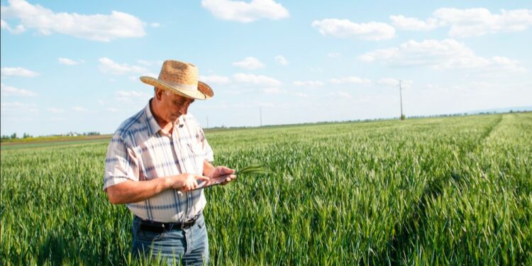 Pouvoir d’achat : revalorisation des prestations sociales