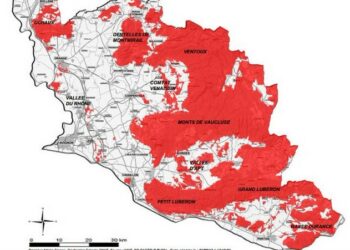 Samedi 6 août, nous n’irons pas au bois
