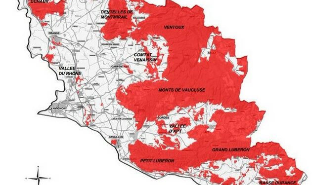 Samedi 6 août, nous n’irons pas au bois