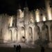 Le palais des papes à la nuit tombée ? Des visites rares et foisonnantes d’information