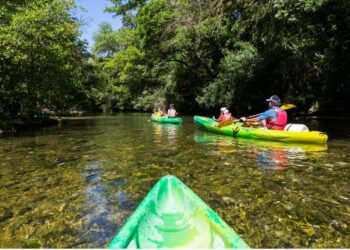Depuis mardi 23 août, la navigation et les activités subaquatiques sont interdites dans la Sorgue