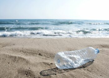 65% des Français pensent… que les Français ne sont pas respectueux de l’environnement pendant les vacances