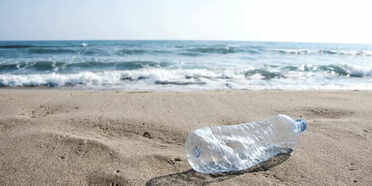 65% des Français pensent… que les Français ne sont pas respectueux de l’environnement pendant les vacances