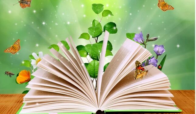 Modène, Parc du Ventoux, place aux contes du bout du monde