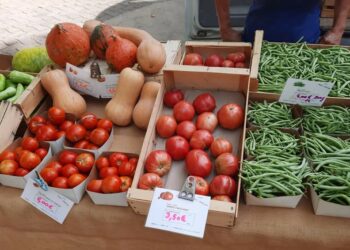 L’été indien se poursuit avec les marchés du soir des producteurs de Vaucluse