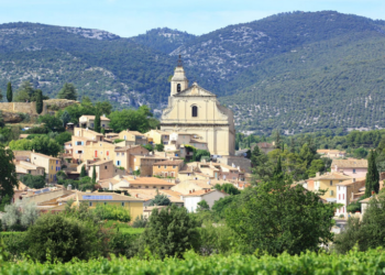 Communes forestières, comment, en tant qu’élus faire face au changement climatique ?