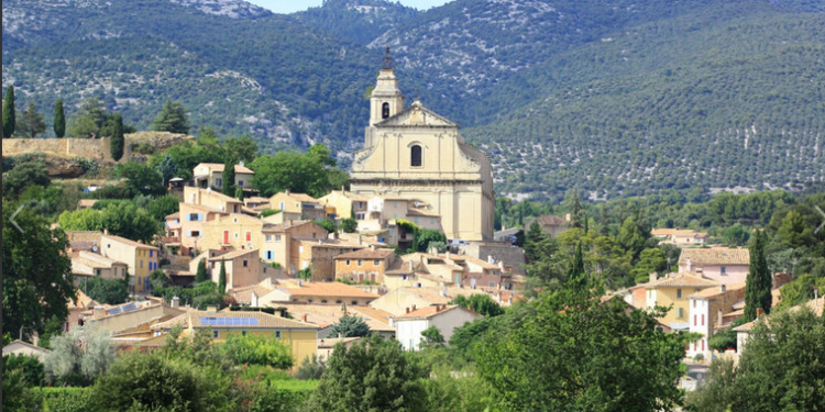 Communes forestières, comment, en tant qu’élus faire face au changement climatique ?