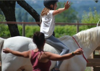 (Vidéo) Centre d’équihomologie (le soin par le cheval) de Mazan, Portes ouvertes ce samedi 17 septembre